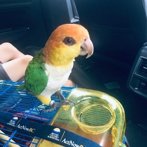 Meet your Posher, Ashleigh